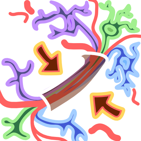 3 neurons, one purple, another green, the last blue, travel diagonally across the image, their dendrites and axon terminals branching out, with their axons traveling through a translucent brown tube. Red lines of various thicknesses representing veins and arteries travel along with them. On either side of the tube are brown arrows pointing at it. The image has light line art.